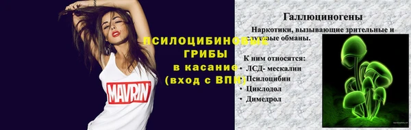 ешки Алексин