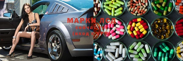 индика Алексеевка