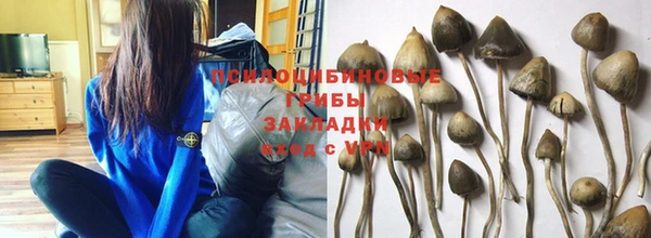 кокс Алзамай