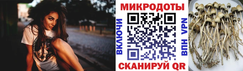 Псилоцибиновые грибы Magic Shrooms  Нестеров 
