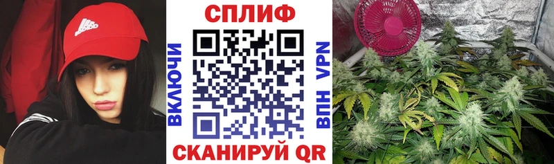OMG tor  Нестеров  Конопля Ganja 